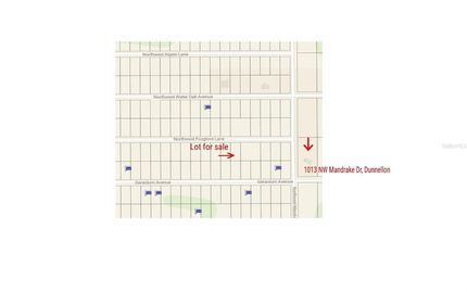 Undeveloped Land for sale in Marion County, Florida