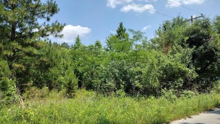 Property for sale in Clarendon County, South Carolina