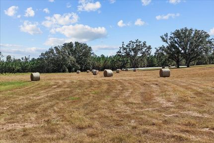 Farm Property for sale in Madison County, Florida