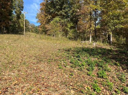 Farm Property for sale in Wayne County, Missouri