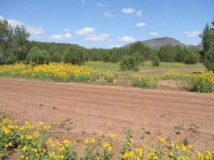 Residential Property for sale in Coconino County, Arizona