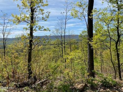 Undeveloped Land for sale in Bedford County, Pennsylvania