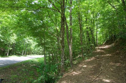 Farm Property in Marion County, Alabama