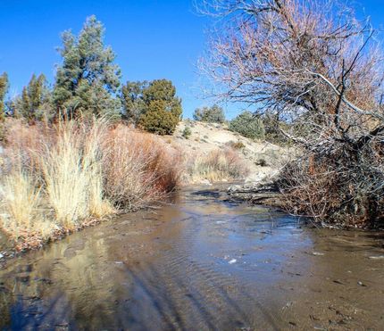 Property for sale in Douglas County, Nevada