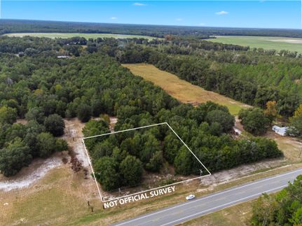 Hunting Land for sale in Dixie County, Florida
