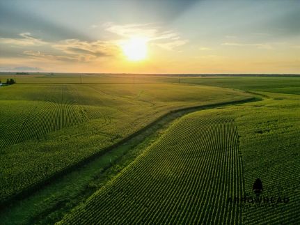 Undeveloped Land for sale in Hancock County, Illinois