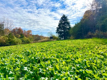 Timberland Property for sale in Highland County, Ohio