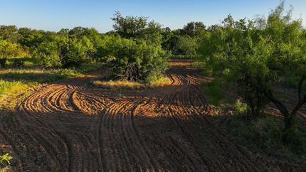 Undeveloped Land for sale in Stephens County, Texas