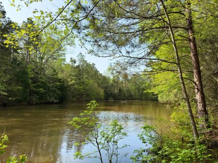 Undeveloped Land for sale in Shelby County, Texas