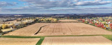 Undeveloped Land for sale in Dodge County, Minnesota