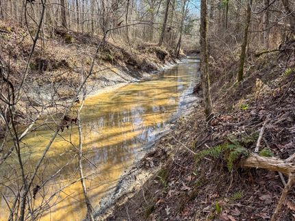 Hunting Land for sale in Clay County, Mississippi