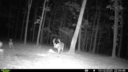 Undeveloped Land for sale in Cross County, Arkansas