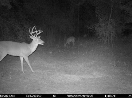 Ranch Property for sale in Madison County, Florida