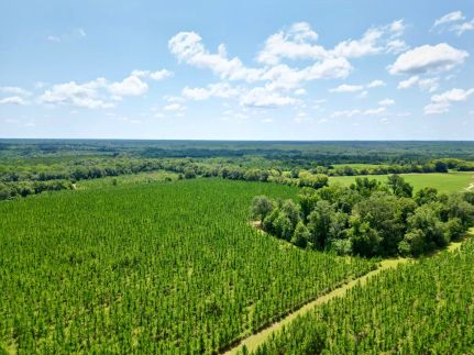 Residential Property in Randolph County, Georgia