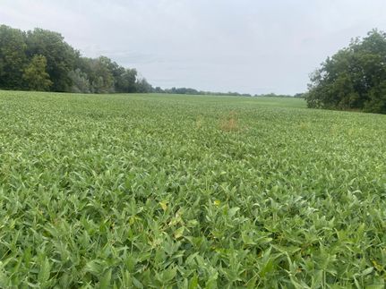 Property for sale in Adams County, Illinois