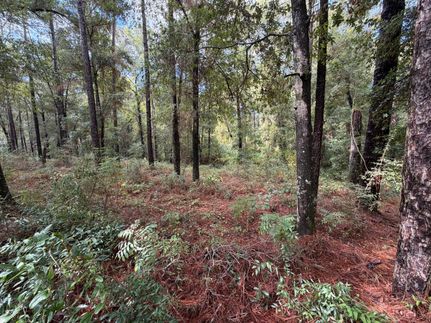 Property for sale in Baldwin County, Alabama