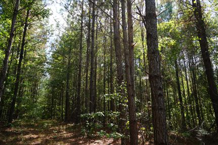 Property for sale in Monroe County, Alabama
