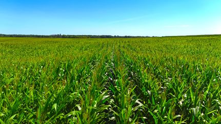 Recreational Property for sale in Bremer County, Iowa