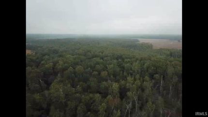 Undeveloped Land for sale in Pike County, Indiana