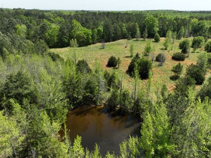 Timberland Property for sale in Laurens County, South Carolina