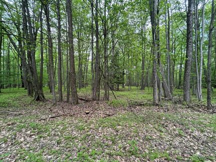 Timberland Property for sale in Clearfield County, Pennsylvania