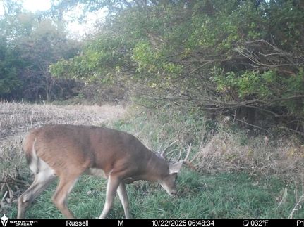 Property for sale in Atchison County, Missouri