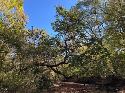 Ranch Property for sale in Fairfield County, South Carolina