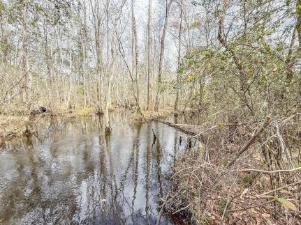 Ranch Property for sale in Holmes County, Florida