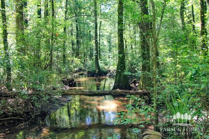 Hunting Land for sale in Holmes County, Florida