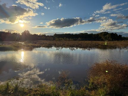 Timberland Property for sale in Barbour County, Alabama