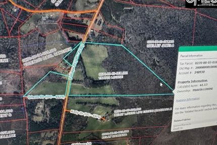 Undeveloped Land for sale in Orangeburg County, South Carolina