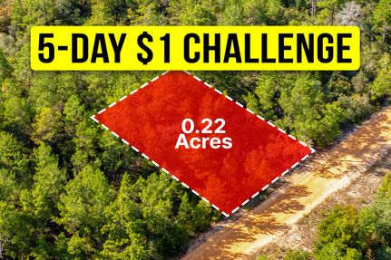 Undeveloped Land for sale in Putnam County, Florida