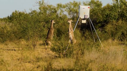 Residential Property for sale in Uvalde County, Texas