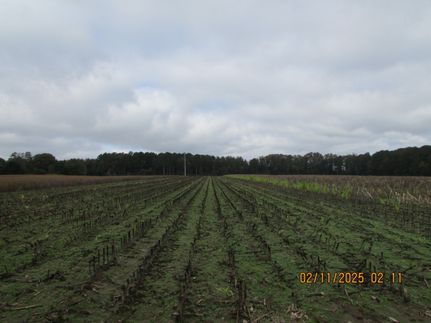 Farm Property for sale in Williamsburg County, South Carolina