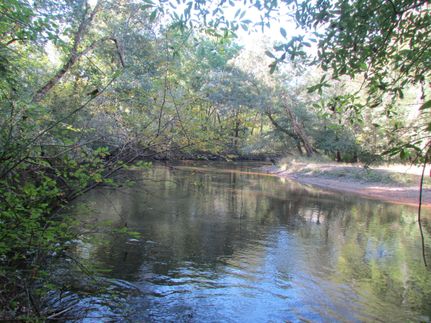 Property for sale in Lee County, South Carolina