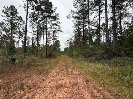 Property for sale in Escambia County, Alabama