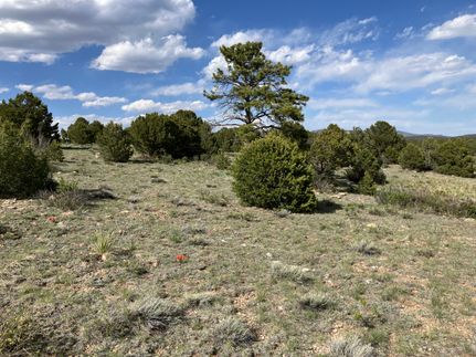 Property for sale in Custer County, Colorado