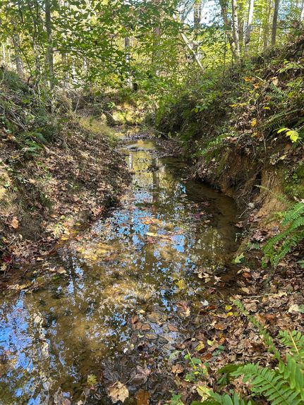 Property for sale in Union County, South Carolina