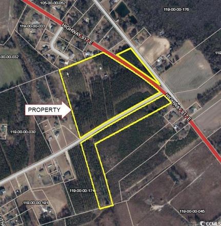 Undeveloped Land for sale in Dillon County, South Carolina