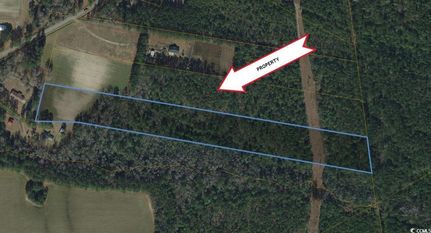 Undeveloped Land for sale in Horry County, South Carolina