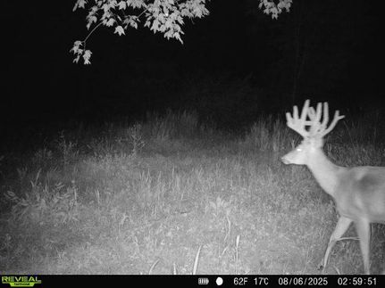 Property for sale in Jefferson County, Pennsylvania