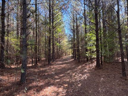 Farm Property for sale in Macon County, Alabama