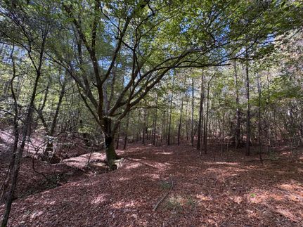 Ranch Property for sale in Macon County, Alabama