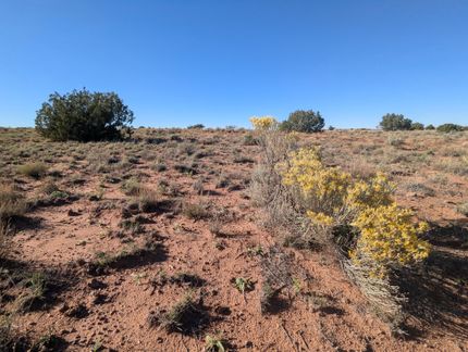Undeveloped Land for sale in Apache County, Arizona