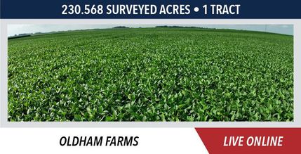 Property for sale in Bureau County, Illinois