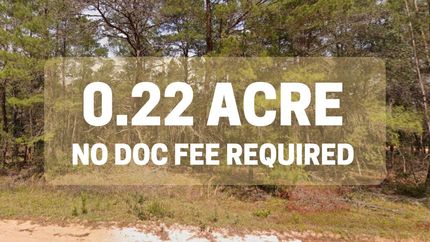 Undeveloped Land for sale in Putnam County, Florida