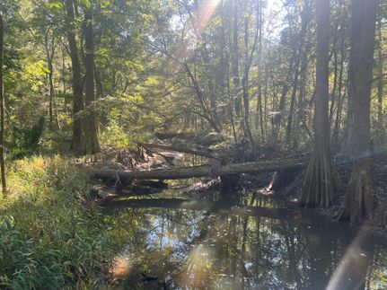 Property for sale in Jones County, Mississippi