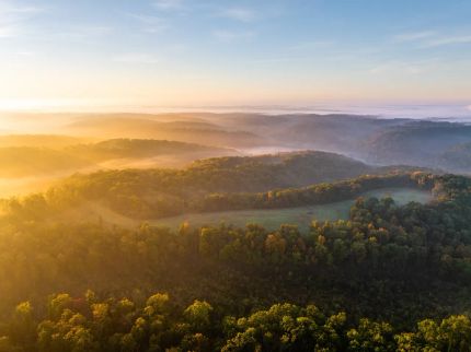 Timberland Property for sale in Benton County, Arkansas