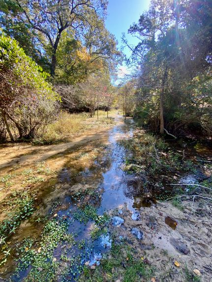 Farm Property for sale in Houston County, Texas