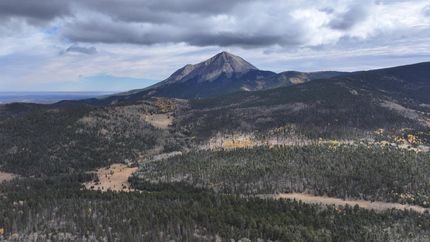 Timberland Property for sale in Huerfano County, Colorado